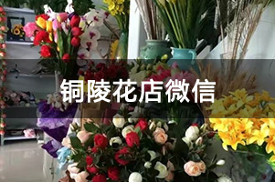 铜陵花店微信