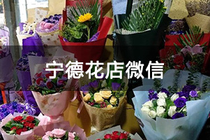 宁德花店微信