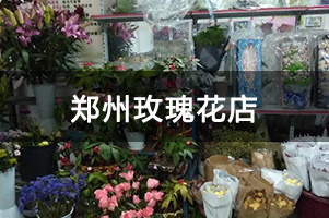 郑州玫瑰花店