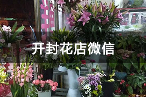 开封花店微信