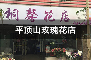 平顶山玫瑰花店