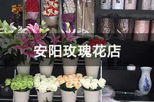 安阳玫瑰花店