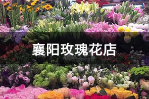 襄阳玫瑰花店