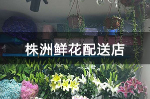 株洲鲜花配送店