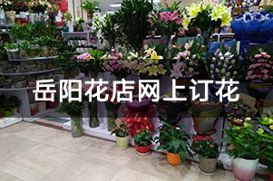 岳阳花店网上订花