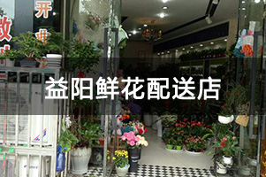 益阳鲜花配送店