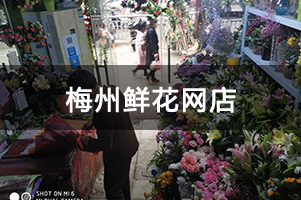 梅州鲜花网店