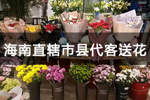 海南直辖市县代客送花