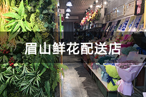 眉山鲜花配送店