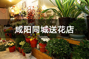 咸阳同城送花店