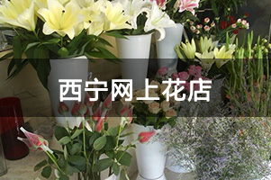 西宁网上花店