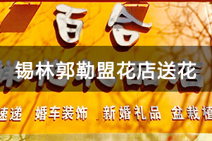 锡林郭勒盟花店送花