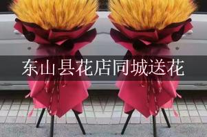 东山县花店同城送花