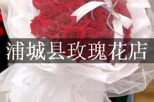 浦城县玫瑰花店