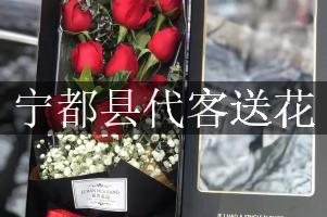 宁都县代客送花