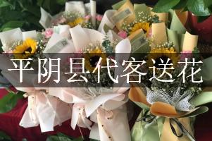 平阴县代客送花