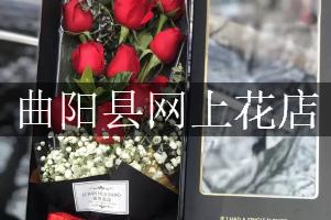 曲阳县网上花店