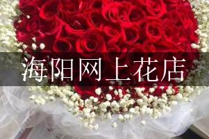 海阳网上花店