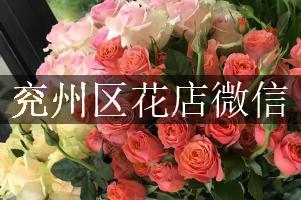 兖州区花店微信