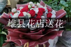 雄县花店送花