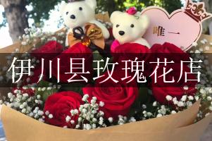 伊川县玫瑰花店