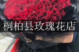 桐柏县玫瑰花店