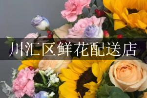 川汇区鲜花配送店