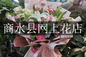商水县网上花店
