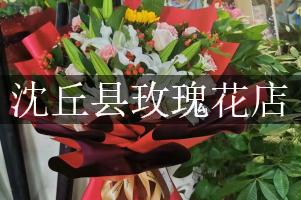 沈丘县玫瑰花店