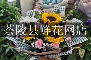 茶陵县鲜花网店