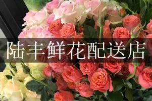 陆丰鲜花配送店
