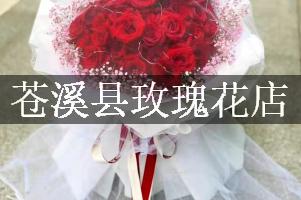 苍溪县玫瑰花店