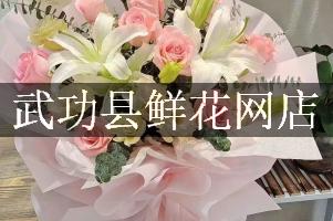 武功县鲜花网店