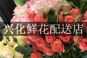 兴化鲜花配送店