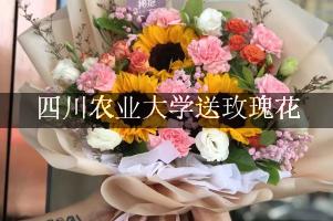 四川农业大学送玫瑰花上门的花店