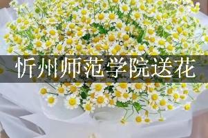 忻州师范学院附近花店送花服务