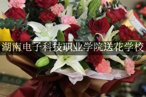 湖南电子科技职业学院送花学校