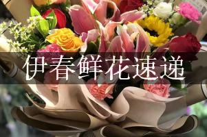 伊春鲜花速递，免费送货