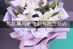 都江堰玛丽亚妇科附近花店，送花到医院
