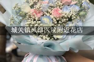 城关镇凤潭医院附近花店，送花到医院