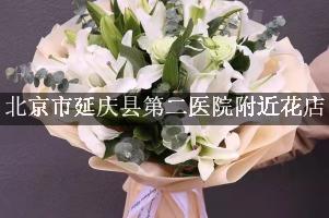 北京市延庆县第二医院附近花店，送花到医院