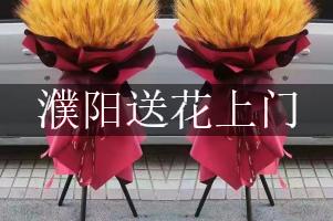 濮阳送花上门（免送费）