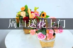 周口送花上门（免送费）