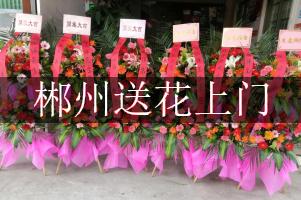 郴州送花上门（免送费）