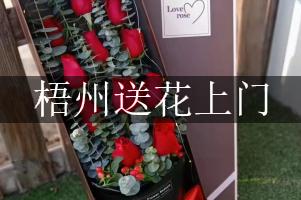 梧州送花上门（免送费）