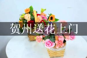 贺州送花上门（免送费）