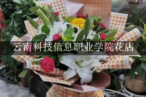 云南科技信息职业学院的花店，送花服务