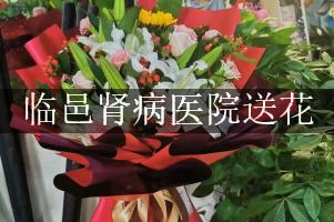 送花到临邑肾病医院，找哪一个花店