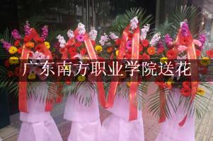 广东南方职业学院送鲜花的，老牌花店
