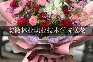 安徽林业职业技术学院送鲜花的，老牌花店